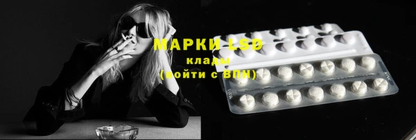 эйфоретик Новокубанск