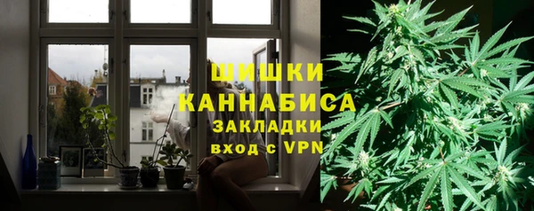 крисы Нея