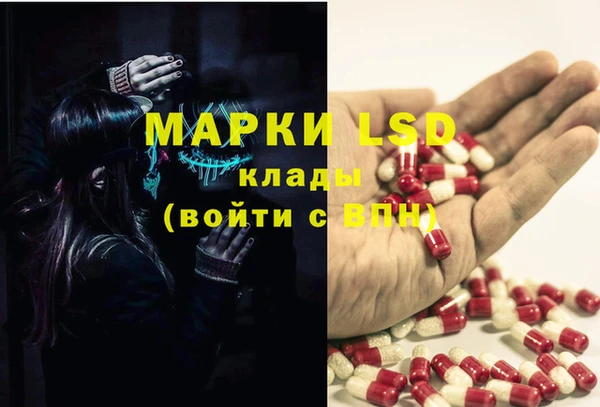 эйфоретик Шали